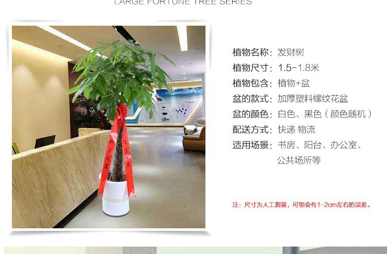 ��������ͼ�����ڻ��� �辰ֲ�� ���������� �������⻨�� ��