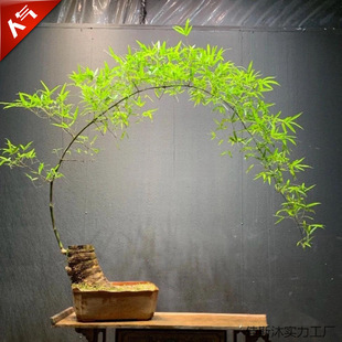 С�~�{���҃��k��������Gֲ�����׻���B�͏d����С�����ϙn��