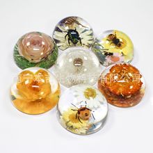 ���z67��Aƽ��õ���ѹ�Ӣ�滨���x͸����֬�⾳�o��ƷŮ�ѶY��