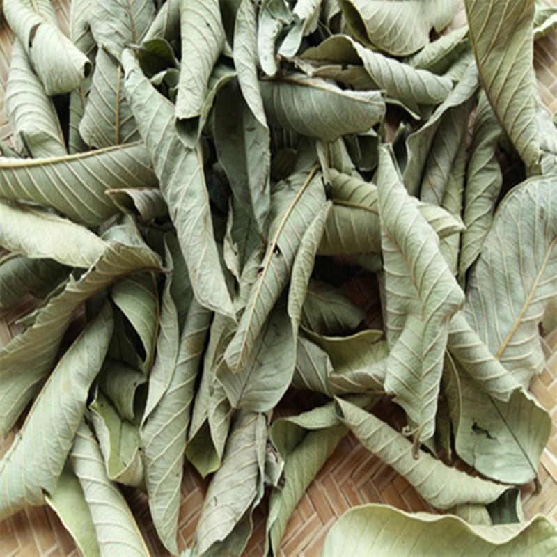 Guava Leaf Tea 500g Dried Psidium Guajava Leaves Natural Sun Dried Herbal Tea key features