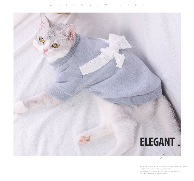 Fashionable Dog Clothes