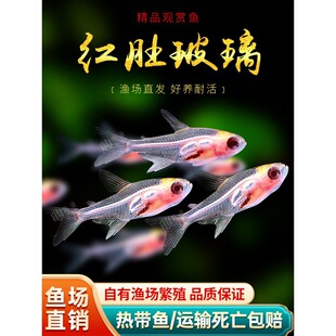 �t�ǲ�������ˮ�Ꭷ�^�p�~�ݸ�Ⱥ��͸���޺��߲������S������w�~