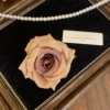 Brown flower hairpin (AA0661)