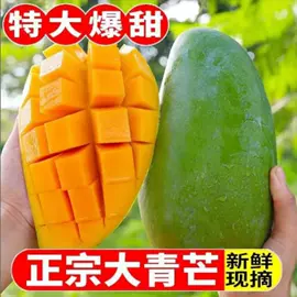 其他药食同源;花果茶;普洱茶