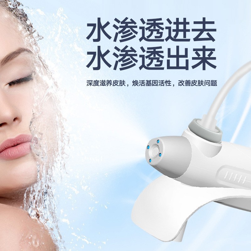 肌の小さい吊り瓶の器具は皮膚の顔の精華を入れて水を補う家庭用のナノ水の光の酸素注入器の美容院の専用です。|undefined