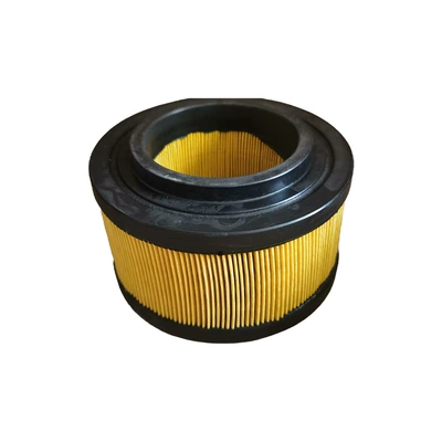 Air Filter 21646645 Air filter
