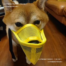 �`ʳ�־W�����ֹ�Ȯ��ë����ʿ�湷�����ͷ�ҧ����������ͨ������