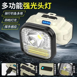 头灯头戴电筒;户外头灯;野营/露营灯