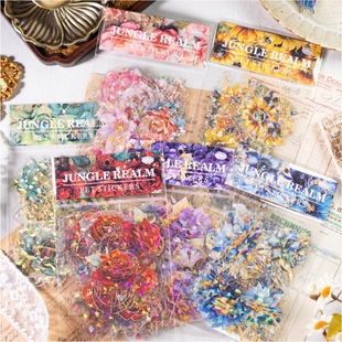 ��֮�腲��֮��ϵ��AI����ֲ��PET�N�����C��ؐ�������~�b��ز�