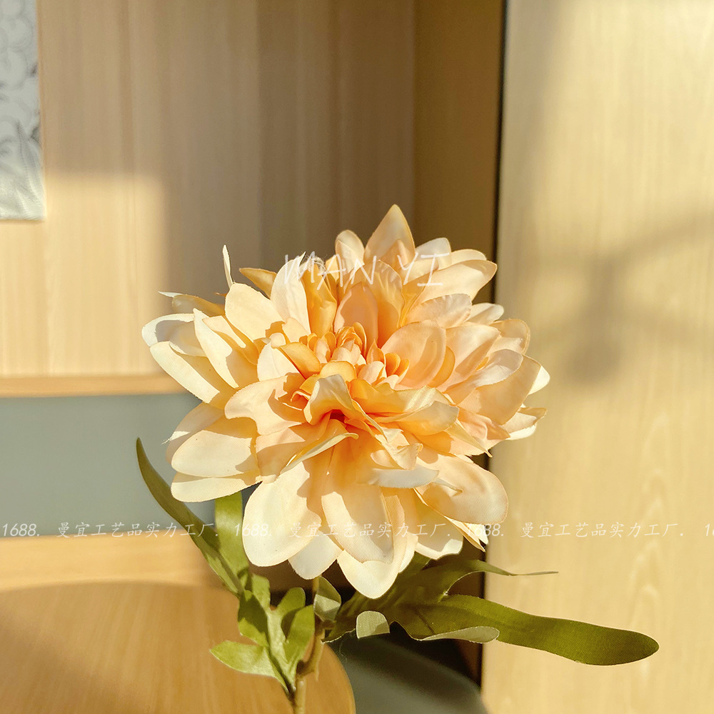 Princesa amarilla Nelly Ju