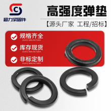 �ߏ��ȏ��ɉ|Ƭ8.8���l�ڏ��|Ȧ̼䓏��ԉ|Ȧ�_�ډ|Ƭ�S�����l