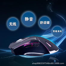 �¿�o�o����늟o����� ̨ʽ�Pӛ���o���l��ʟ��Α���ƶYƷ