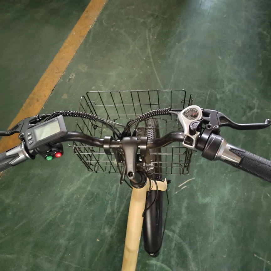 Электровелосипед Ebike Silver Fish Princess Sakura Lady литийный аккумулятор lifespan помогает принцессе велосипеды стать успешными