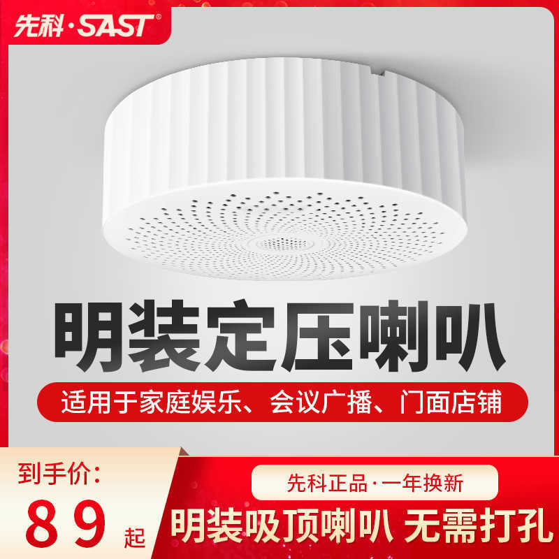 SAST/Schenko DU30 Ceiling Ceiling Acoustic Wireless Bluetooth Indoor Background Music