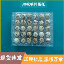 批发鹌鹑蛋包装pet透明塑料鹧鸪蛋托30枚鹌鹑蛋托吸塑PVC吸塑盒