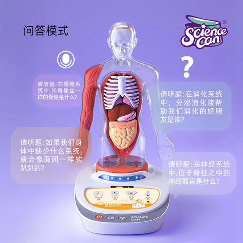 Scientific Canned Human Anatomy Model Organs Detachable Children's Teaching Toy Our Body Speech Encyclopedia
