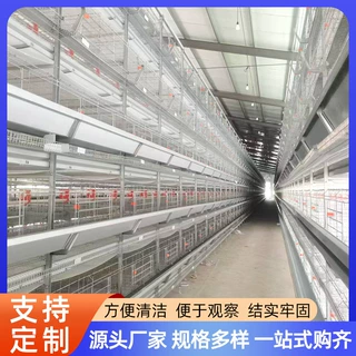 加工定做全自动蛋鸡笼定制捡蛋鸡清粪机喂料机大层叠四层五层鸡笼