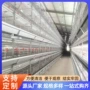 五层自动定制定做清粪机