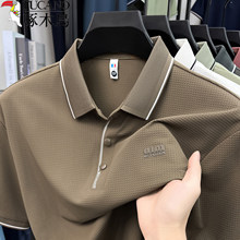 ��ľ�B���z���ж���t����ʿ�ļ������̄����e��C���I����POLO��