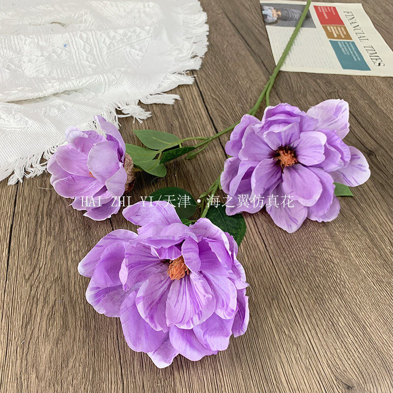 연한 보라색
