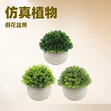 ����Gֲ�냺�I��A����С���� ��ֲ��ٻ��辰�҃ȿ͏d�����b�