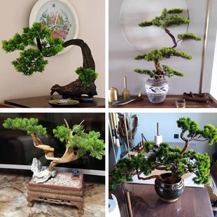 ��������°ؘ�֦�ٻ��ɘ����Ըɻ����ϻ��ɘ��~�Ӽ٘��~��֦����