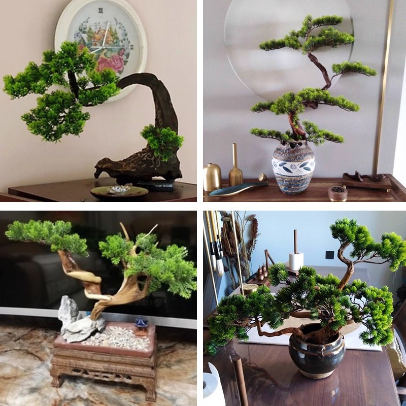 Artificial Pine Needles, Thuja Branches, Fake Flowers, Pine Tree Potted Plants, Dried Flowers, Plastic Flowers, Pine Leaves, Fake Leaves, Pine Branches Props