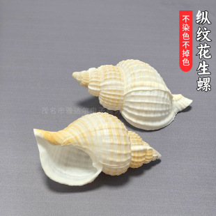 ��Ȼ����ؐ���v�y�������~��ˮ��ľ�з��Q���Ӽ��b̌W����