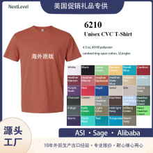 定制美国礼品6210新款 60棉40涤 T恤圆领短袖男士涤棉T恤