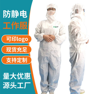 Huichuang Manufacturer Customized Class 100 Anti-Static Jumpsuit Side Zipper Mesh Dust-Free Work Clothes
