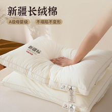 2025¿ȫ^oi׵˯XоˌWֻһb