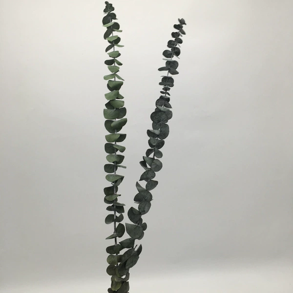 XTQA-0602 Green