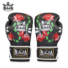 RAJAȭ׳Ӗɢ򲫓񶷌Iõȭ״l