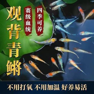 �^�����F�~�ǹ�������ˮ���B��ˮ�����~��С���^�p�~�ͻ�Ƥ���ŷ�