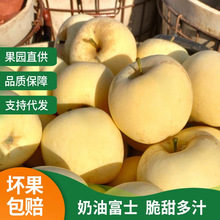 厂家定制加工脆甜黄金奶油富士礼盒自有果园现摘新鲜烟台栖霞苹果