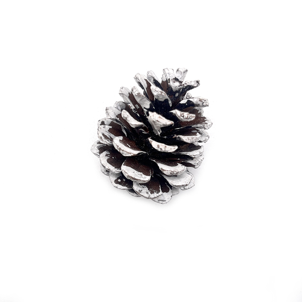 Pinine Natural Decoración navideña Copo de nieve Pinine Ardilla Hamster Totoro Loro Loro Descongestionante Juguetes molares para mascotas