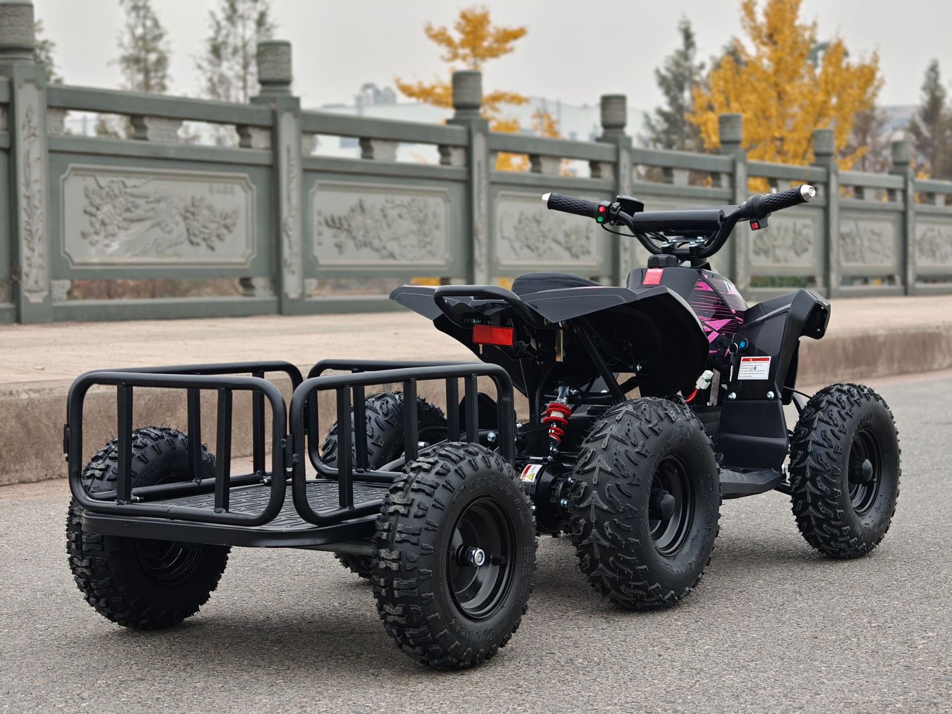 Small Overlord ATV Beach Motorcycle All-Terrain Vehicle Electric Scooter