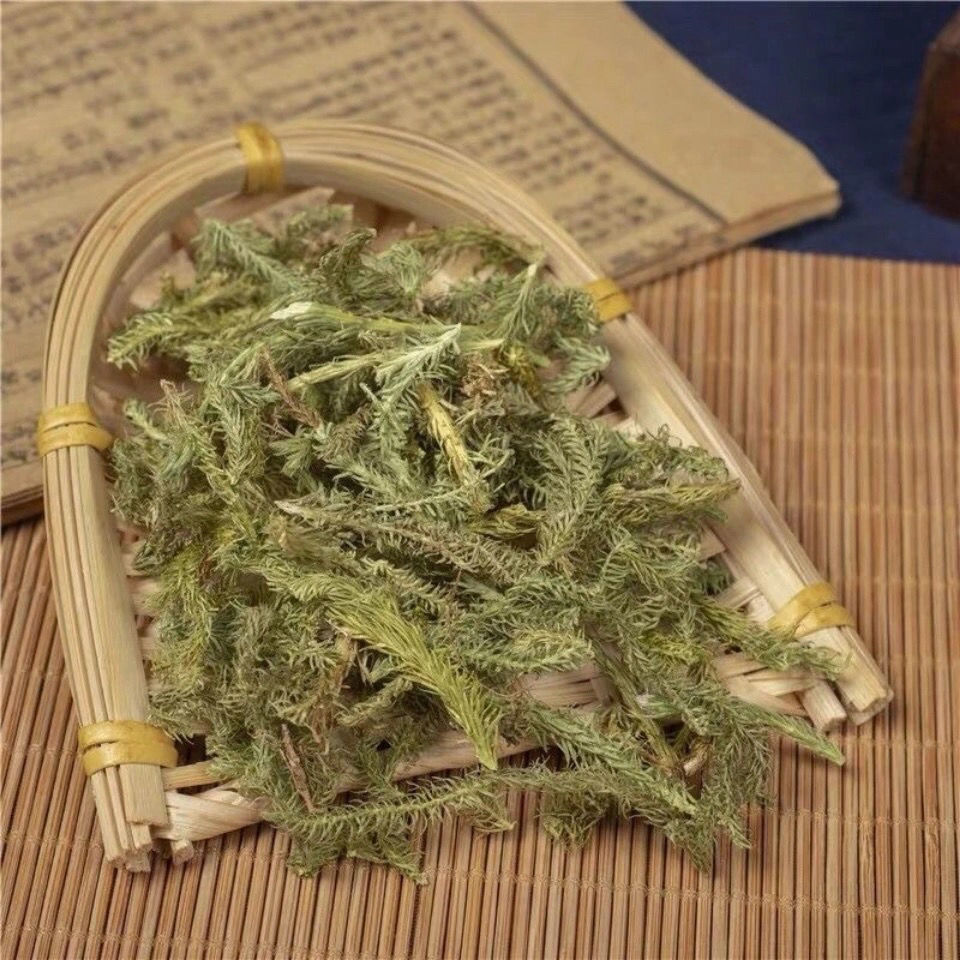 Dried Shen Jin Cao 伸筋草 500g Sliced Lycopodium Herb for Traditional Decoctions and Herbal Tea quality and texture