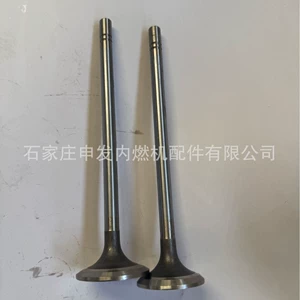 In stock: Carter 6D125 intake valve 6150424110, exhaust valve 6150424210