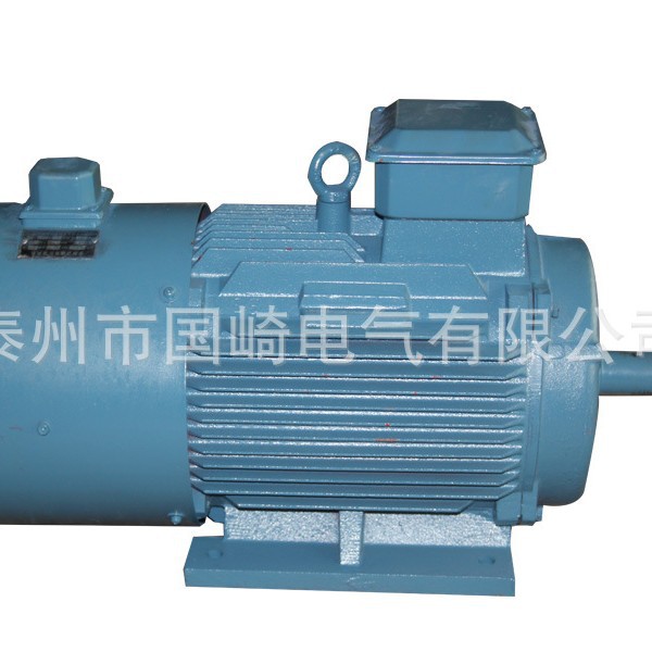 调速变频电动机Y2VP-315L1-8P-90KW-B35江苏大中变频电动机 包邮