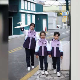 校服冲锋衣套装校园服装冬季厚三件套春秋园服中小学儿童班服批发