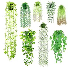 Rd羳ȼ~ٗl_㶹ҒbGֲĥɰ