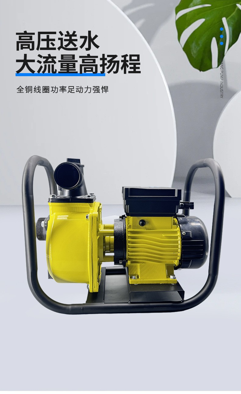 New Model 2inch 3inch Dc Solar Water Pump High-Pressure High-Lift Water Pump Intelligent Variable Frequency Self-Priming Pump Universal for Household Use