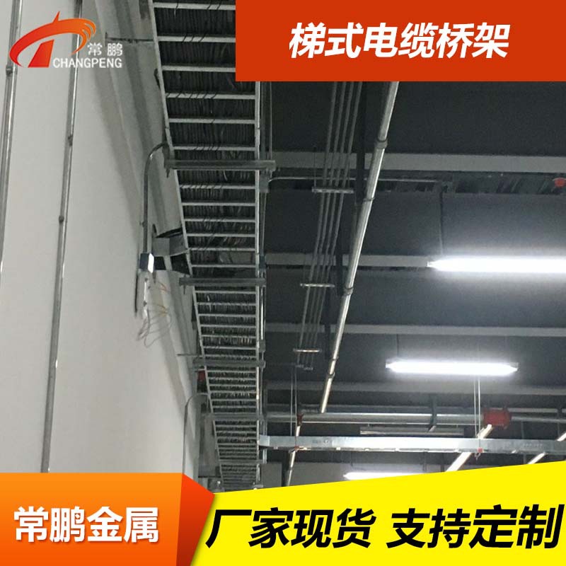 常鹏 不锈钢304/316梯式桥架多孔冲孔多规格防火布线桥架厂家现货