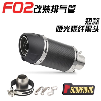 pipe modification Huanglong 600: Exhaust pipe - f02-short-matte-carbon-fiber-blackhead