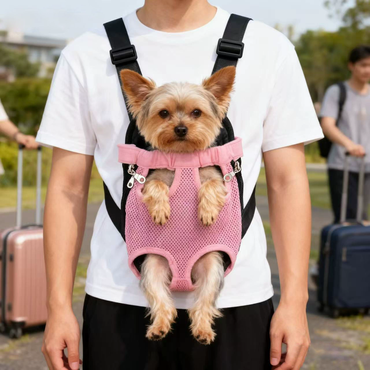 Сумка для кошек, нагрудная сумка, портативный рюкзак для кошек для прогулок с домашними животными, летний дышащий рюкзак для кошек, дорожный рюкзак для щенков
