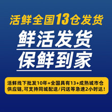 ���r�������r�����r�����|�ǰ� �r��ʯ���~�ϻ��ߖ|�ǰ� ���r�Y��