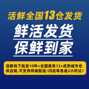 ���r�������r�����r�����|�ǰ� �r��ʯ���~�ϻ��ߖ|�ǰ� ���r�Y��