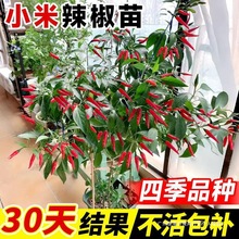 �߲����ļ�����Ƥ����N�Ѵ�ȫ�ཷ�����������ݽz���콷