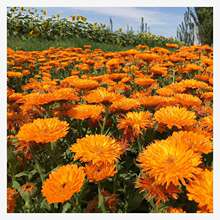 ��K�շN���L�໨�N���L���ջ����ļ����N�_��ͥԺ���K���N����